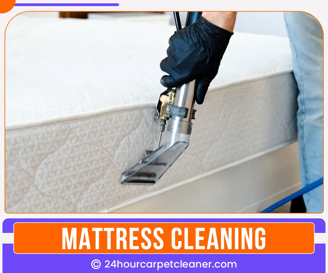carpet cleaners in Brooklyn, carpet cleaning in Brooklyn, carpet cleaning bkln, carpet cleaners in brooklyn,  commercial carpet cleaning, commercial carpet cleaning in brooklyn,carpet cleaning in brooklyn,  brooklyn rug cleaners, rug cleaning services in brooklyn, same day carpet cleaning, same day rug cleaning